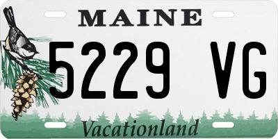 ME license plate 5229VG