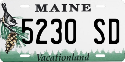 ME license plate 5230SD