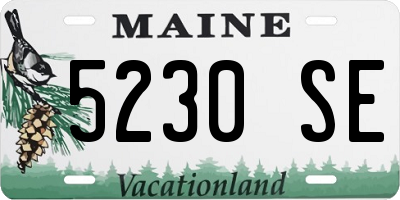 ME license plate 5230SE