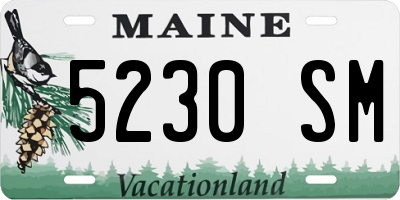 ME license plate 5230SM
