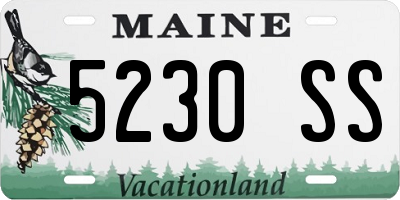 ME license plate 5230SS