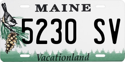 ME license plate 5230SV