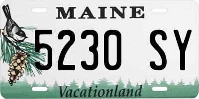ME license plate 5230SY