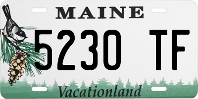 ME license plate 5230TF