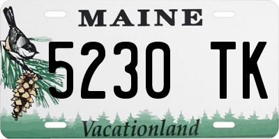 ME license plate 5230TK
