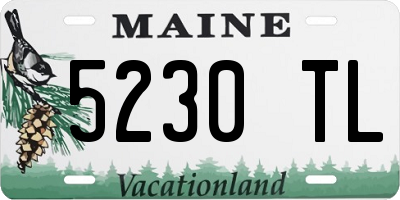 ME license plate 5230TL