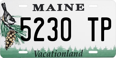 ME license plate 5230TP