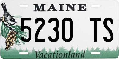ME license plate 5230TS
