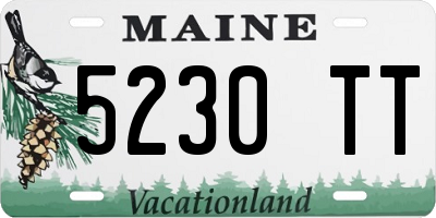 ME license plate 5230TT