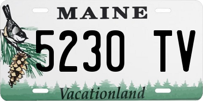 ME license plate 5230TV
