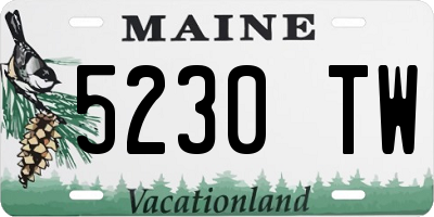 ME license plate 5230TW