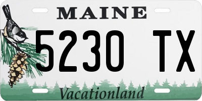 ME license plate 5230TX