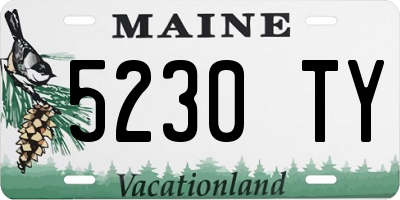 ME license plate 5230TY