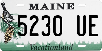 ME license plate 5230UE