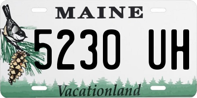 ME license plate 5230UH