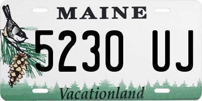 ME license plate 5230UJ