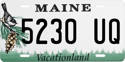 ME license plate 5230UQ