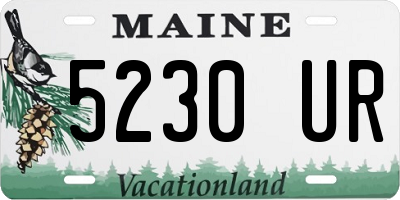 ME license plate 5230UR