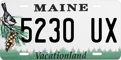 ME license plate 5230UX