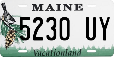 ME license plate 5230UY