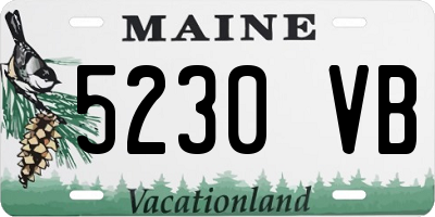 ME license plate 5230VB