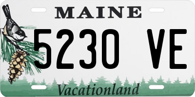 ME license plate 5230VE