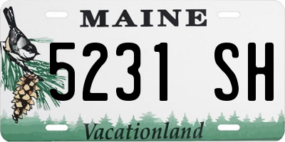 ME license plate 5231SH