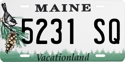 ME license plate 5231SQ