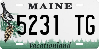 ME license plate 5231TG