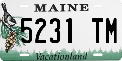 ME license plate 5231TM