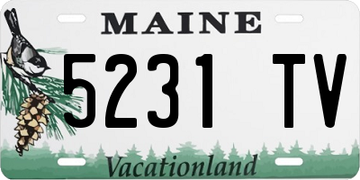 ME license plate 5231TV