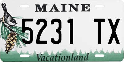 ME license plate 5231TX