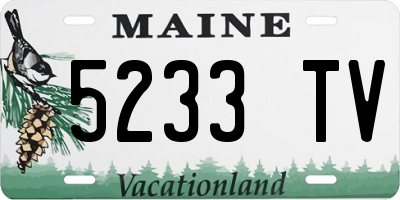 ME license plate 5233TV