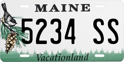 ME license plate 5234SS