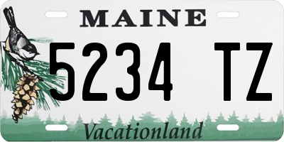 ME license plate 5234TZ