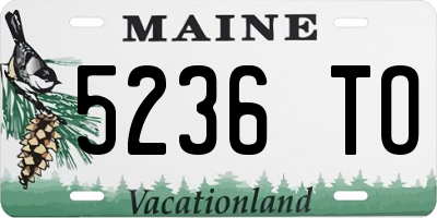 ME license plate 5236TO