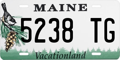 ME license plate 5238TG