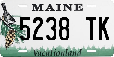 ME license plate 5238TK