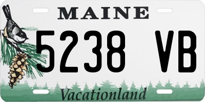 ME license plate 5238VB