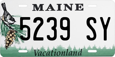 ME license plate 5239SY