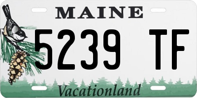 ME license plate 5239TF