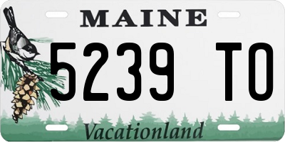 ME license plate 5239TO