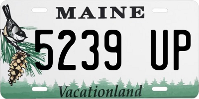 ME license plate 5239UP