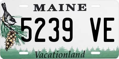 ME license plate 5239VE