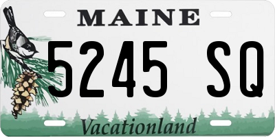 ME license plate 5245SQ