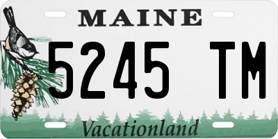 ME license plate 5245TM