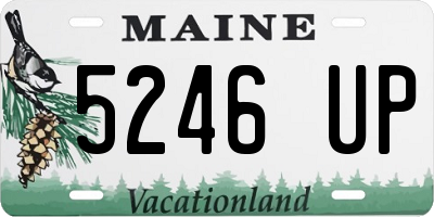 ME license plate 5246UP