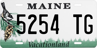 ME license plate 5254TG
