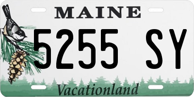 ME license plate 5255SY