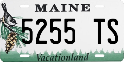 ME license plate 5255TS